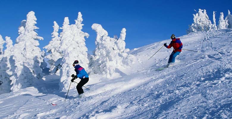 Sciatori in neve fresca